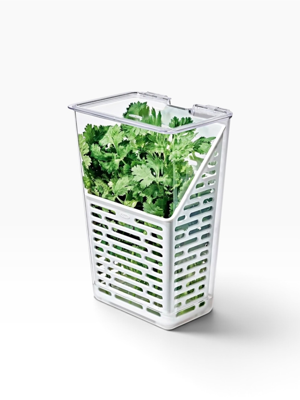 OXO White Herb Keeper with Clear Lid